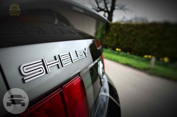 Ford Mustang Shelby GT600
Sedan /
Kents Hill, Milton Keynes MK7

 / Hourly £0.00
