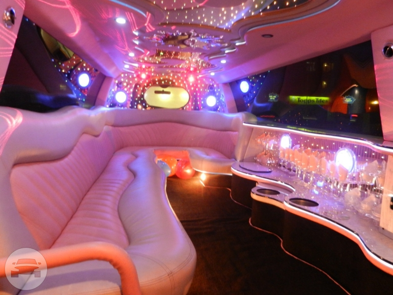 EXCURSION (PINK PANTHER) | Easy Limo: online reservation