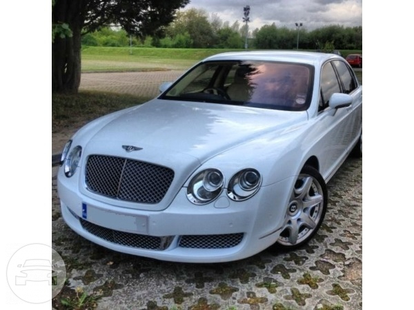 Bentley Continental Flying Spur Mulliner (In White)
Sedan /
Stansted CM24 8JT, UK

 / Hourly £0.00
